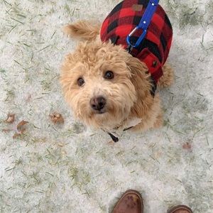 Meet your Posher, Basel